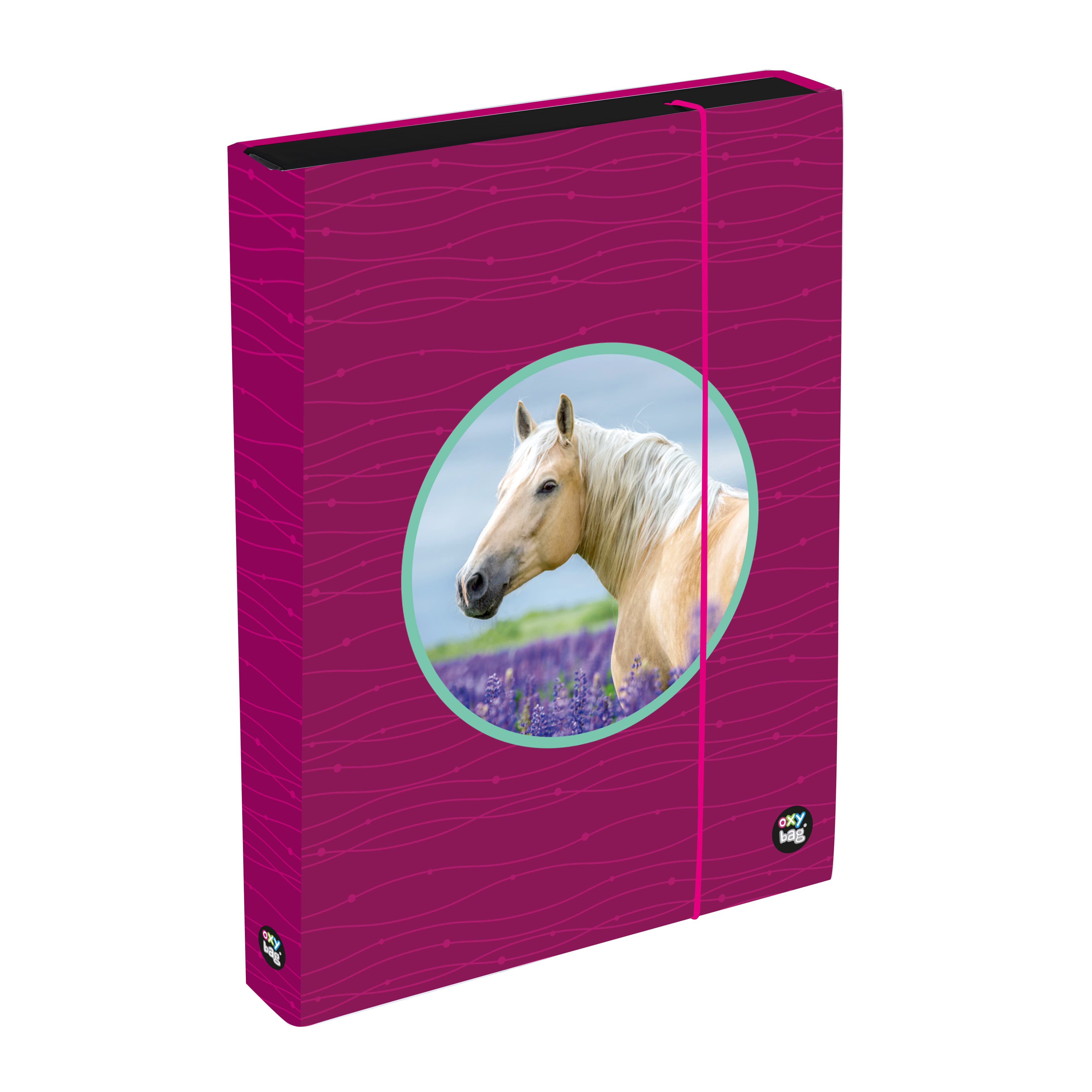 Oxybag Box na zošity A4 Jumbo OXY Sherpy Pink